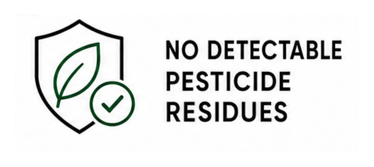 B3-no-detectable-pesticide-residues